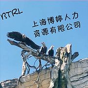 上海博婷人力资源服务有限 公司