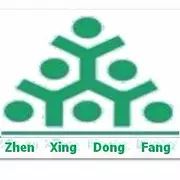 北京震兴东方劳务服务有限公司
